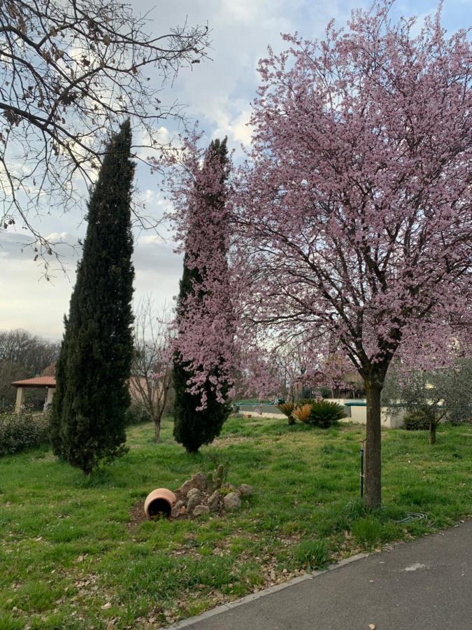 Oltre La Siepe Apartment Nepi Bagian luar foto