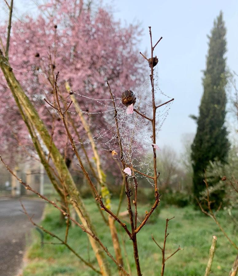 Oltre La Siepe Apartment Nepi Bagian luar foto