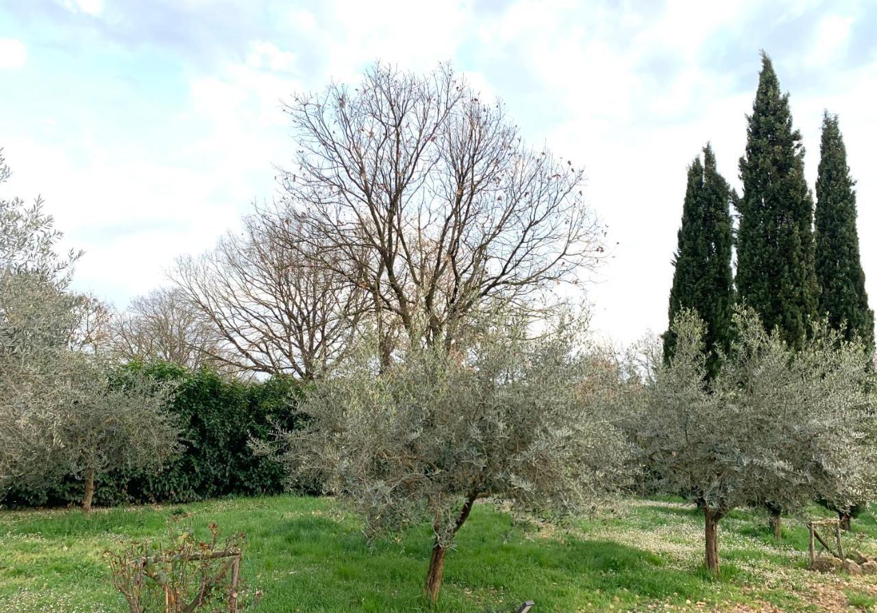 Oltre La Siepe Apartment Nepi Bagian luar foto
