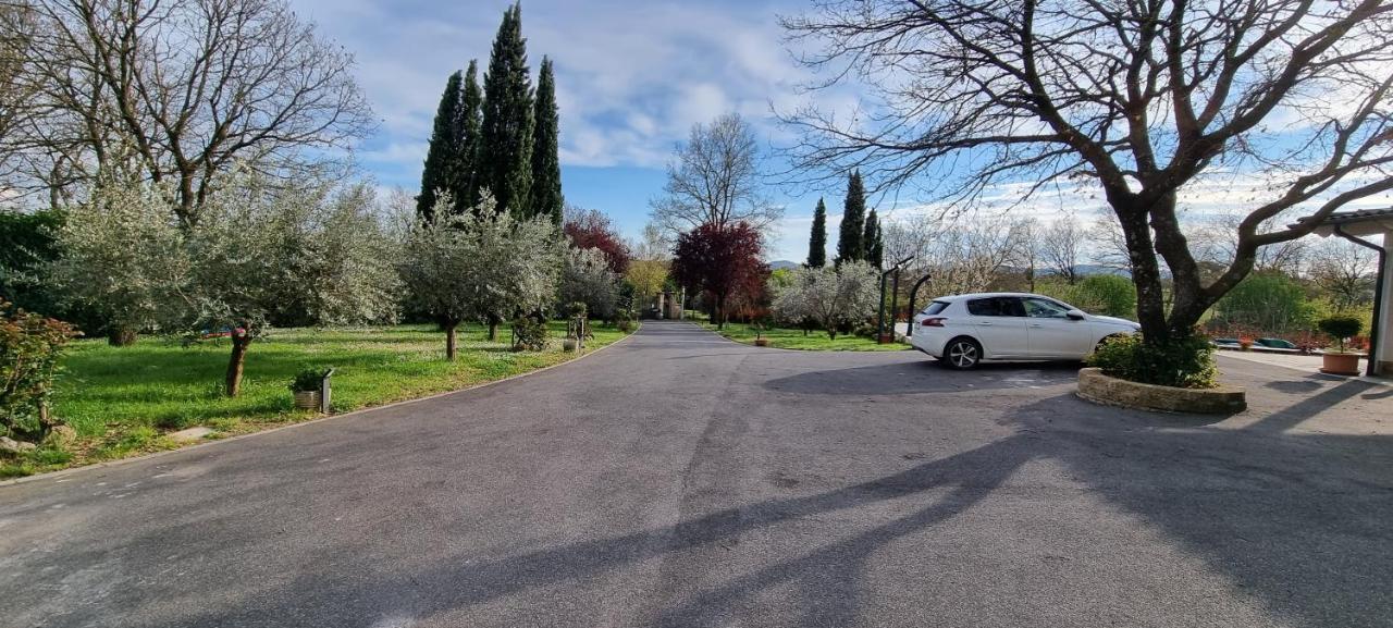 Oltre La Siepe Apartment Nepi Bagian luar foto