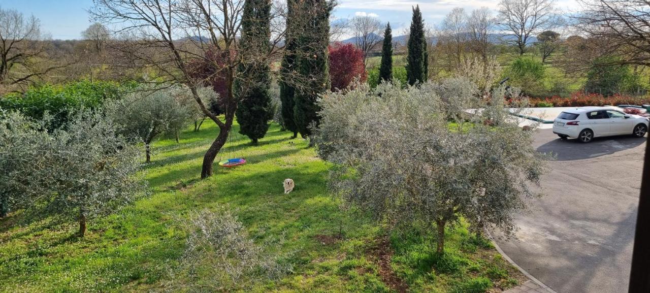 Oltre La Siepe Apartment Nepi Bagian luar foto